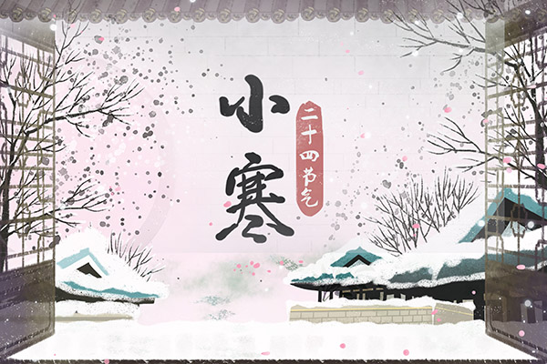 军训感想作文范文