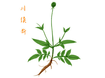 外贸业务员年终总结带图表_外贸业务员年终个人工作总结优秀