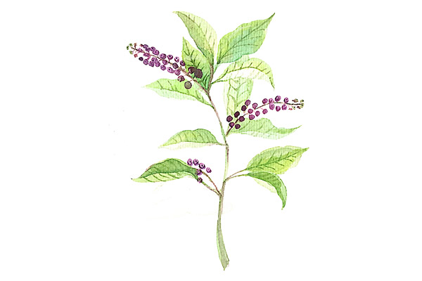 企业文化节活动主题_企业文化宣传月活动总结