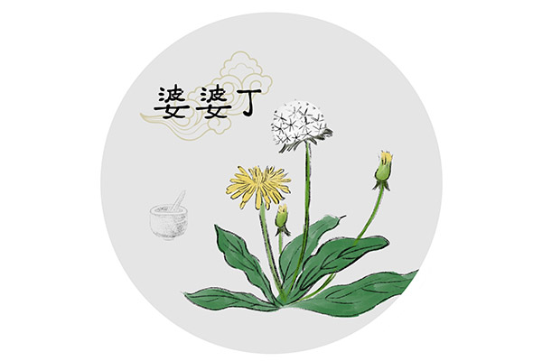 劳动合同(劳动合同模板)
