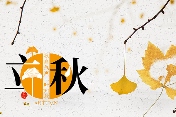学科导论的心得体会(学科心得体会150字)