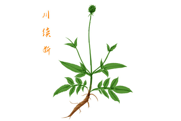 教师个人读书总结