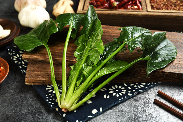 新劳动合同_新劳动合同范本