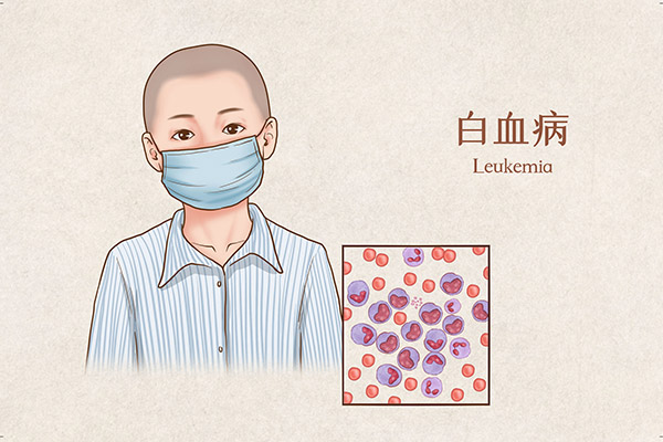 争创青年文明号倡议书_争创青年文明号牌匾