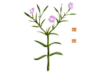 城市房屋买卖合同_房屋买卖中介合同