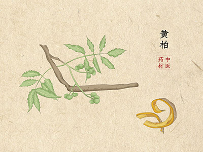 工作迟到检讨书简短_学校早上迟到检讨书