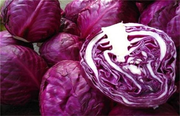 实用的公司年会主持词(公司年会主持词最佳模板)