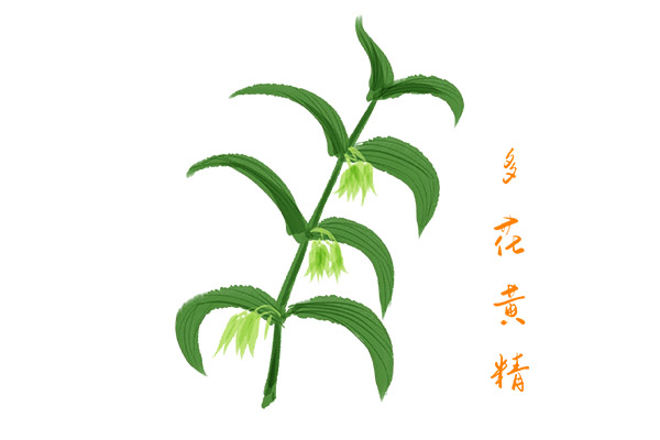 初中德育论文(初中教师德育论文范文)