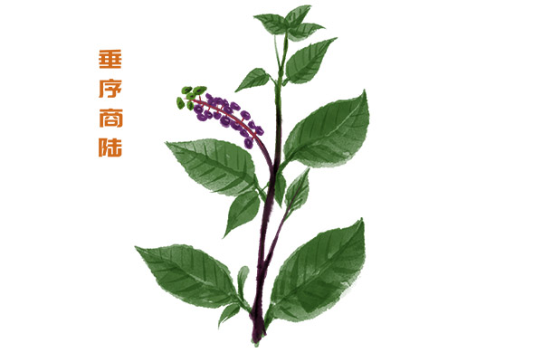 变色龙教案反思_变色龙教案