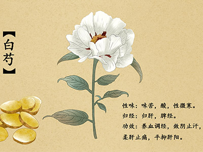 公司以股权质押向个人借款_公司股权质押借款合同