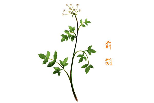 营销年度工作报告_营销部门年度工作总结大纲