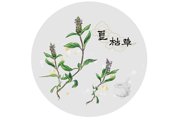 监理员工作总结_监理员工作总结100字
