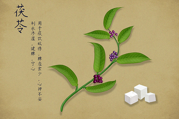 开学了作文_开学了作文600字初二