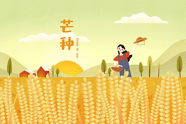 房屋租赁合同_房屋租赁合同纠纷