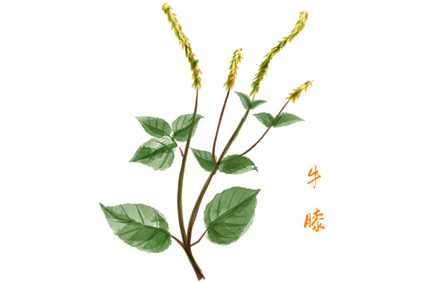 防溺水安全教育设计活动方案(防溺水教育宣传启动仪式方案)
