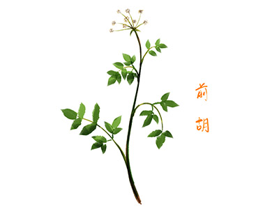 服装公司个人工作总结_服装公司总结报告