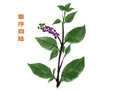 论文版权转让合同(论文版权是永久性的吗)