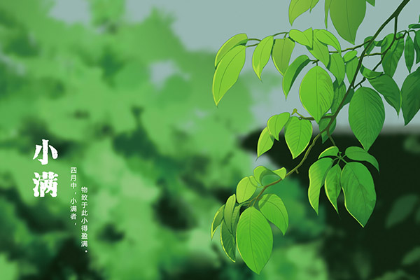 大学实践活动策划书(实践活动策划书模板)